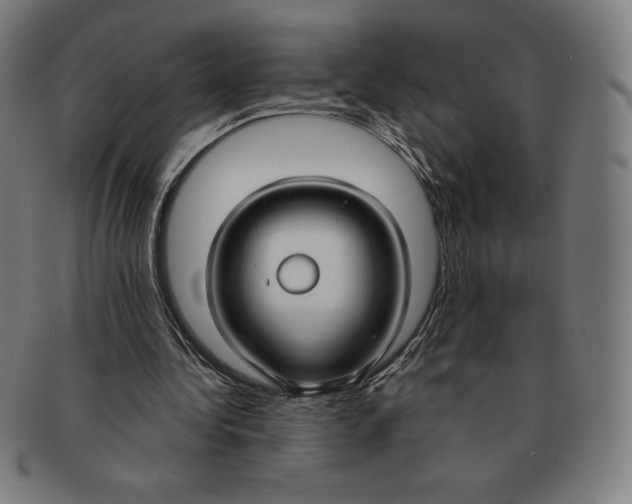 X0000090950340200708301145