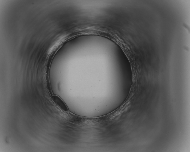 X0000090950341200708301145