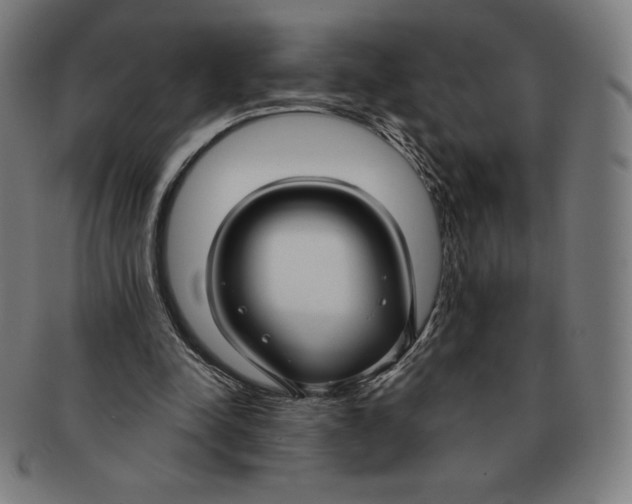 X0000090950342200708301145