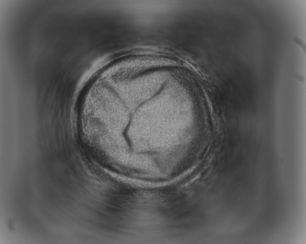 X0000090950343200708301145