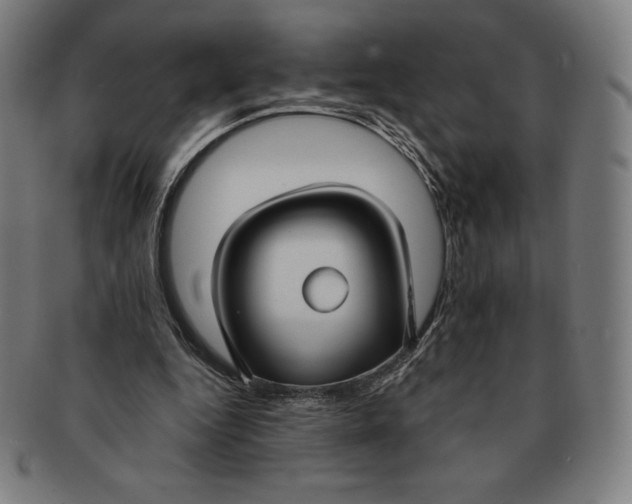 X0000090950344200708301145