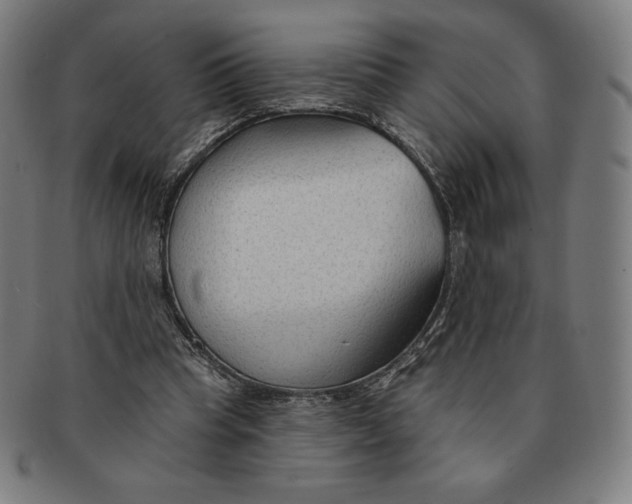X0000090950345200708301145