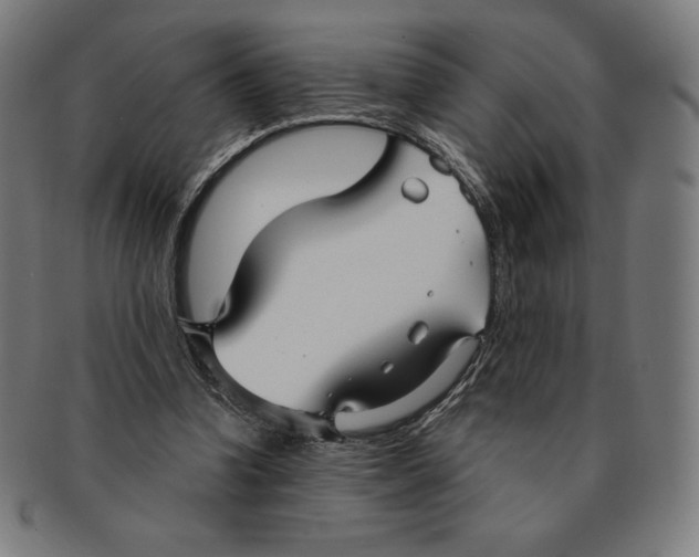 X0000090950346200708301145