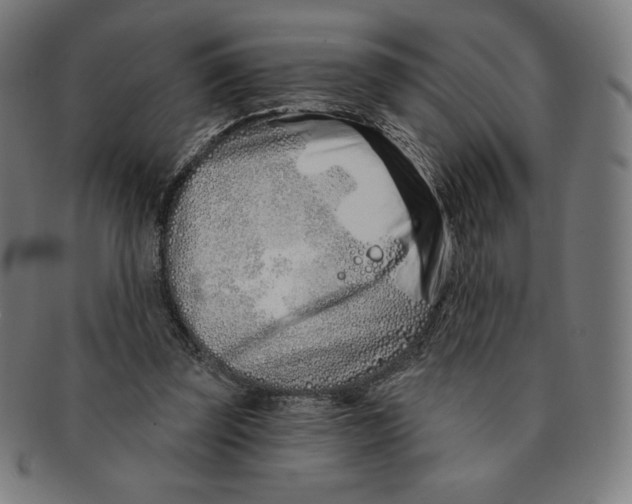 X0000090950347200708301145