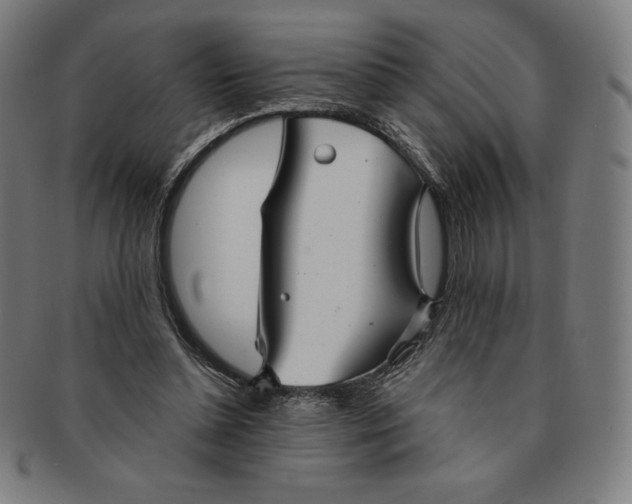 X0000090950348200708301145