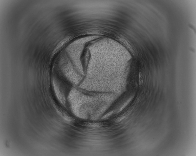 X0000090950349200708301145