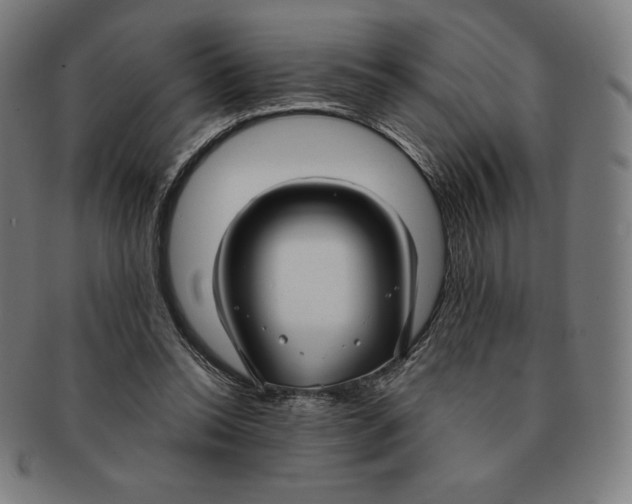 X0000090950350200708301145