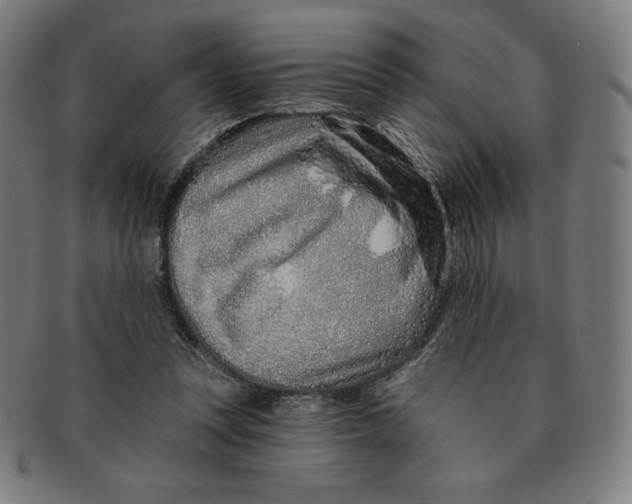 X0000090950351200708301145