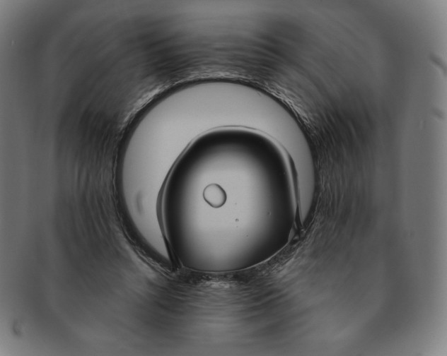 X0000090950352200708301145