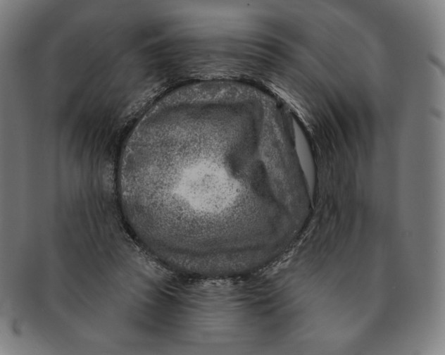 X0000090950353200708301145