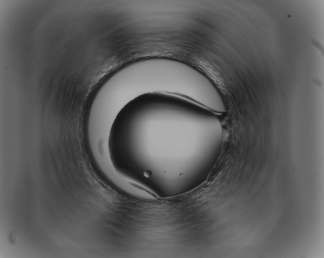 X0000090950354200708301145