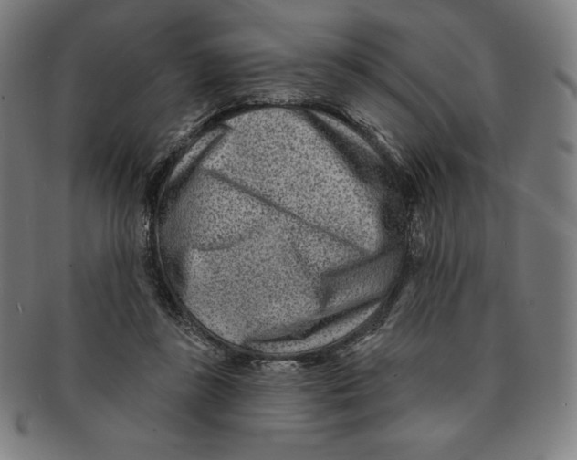 X0000090950355200708301145