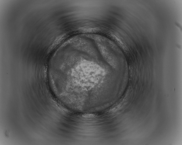 X0000090950357200708301145