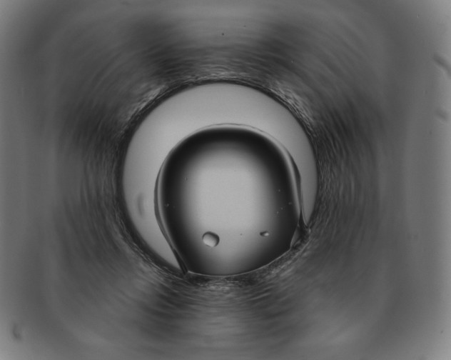 X0000090950358200708301145