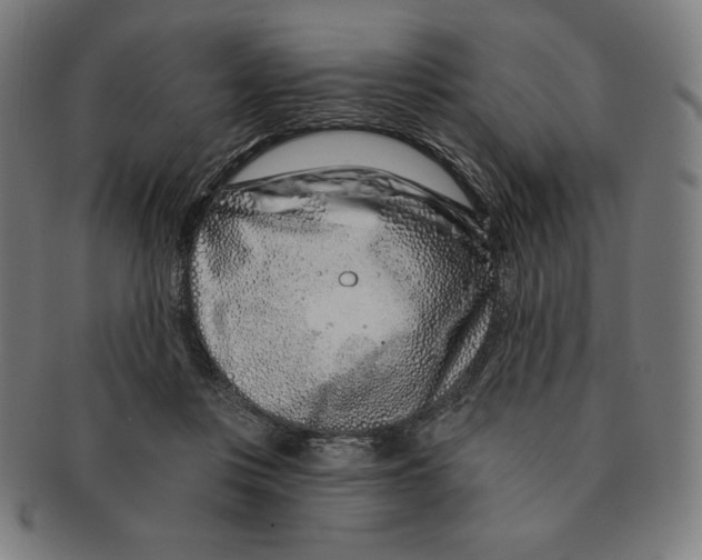 X0000090950359200708301145