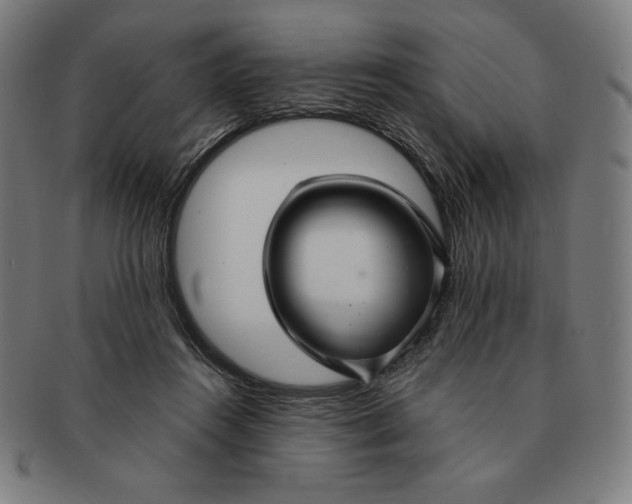 X0000090950360200708301145