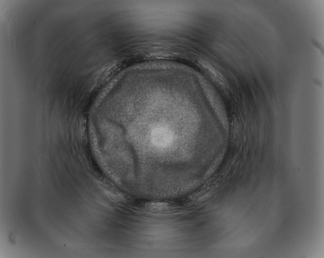 X0000090950361200708301145