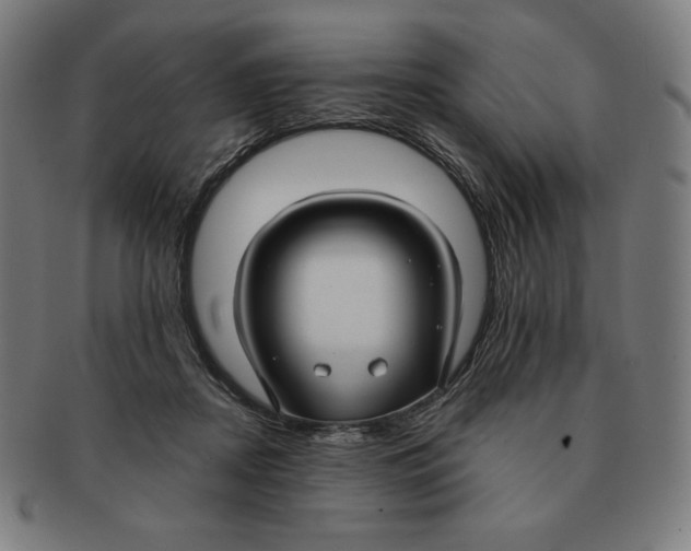 X0000090950362200708301145