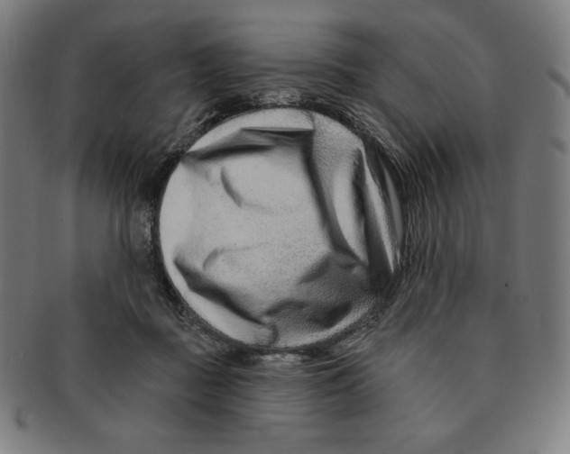 X0000090950363200708301145