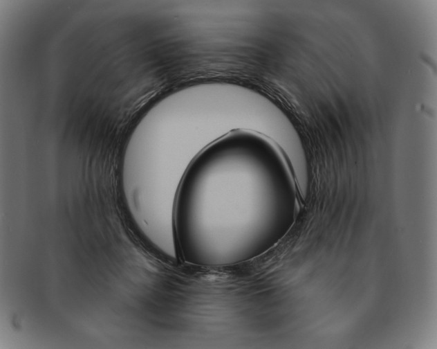 X0000090950364200708301145