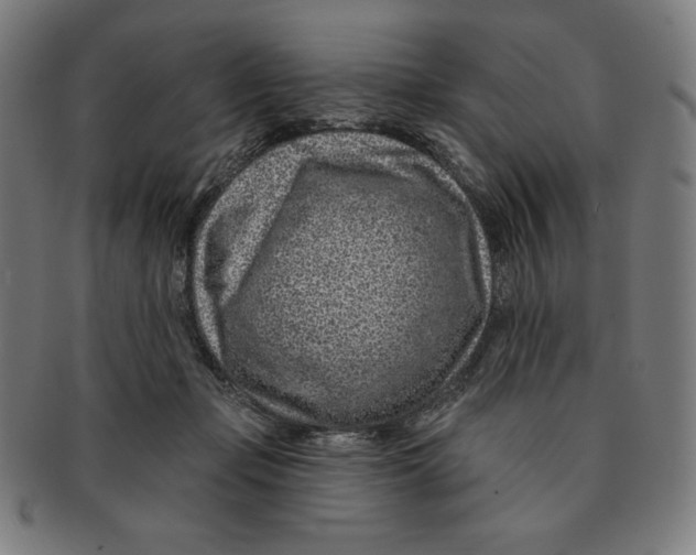 X0000090950365200708301145