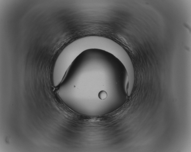 X0000090950366200708301145