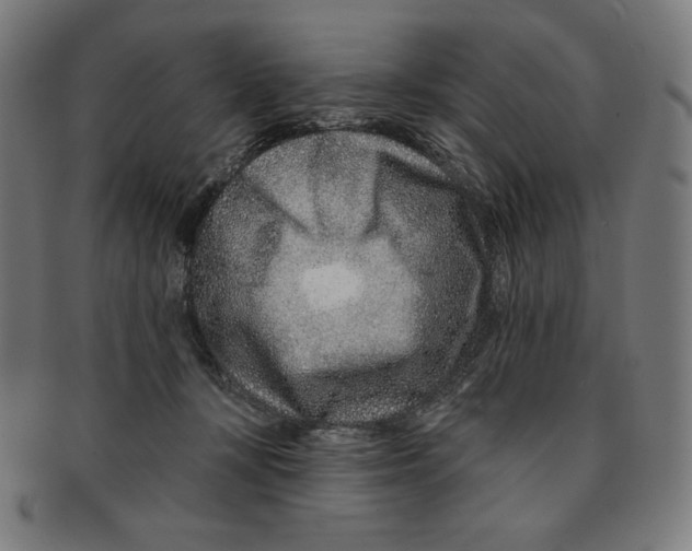 X0000090950367200708301145