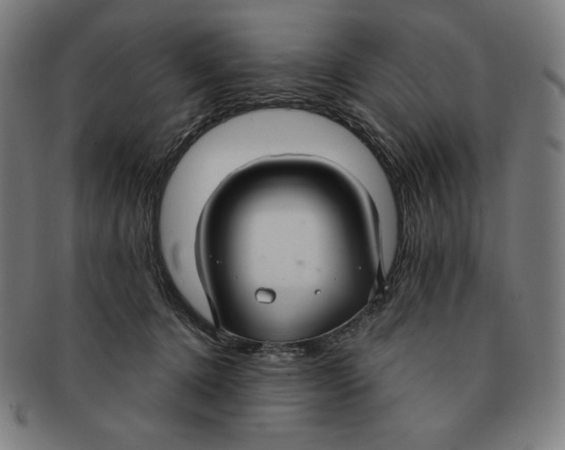 X0000090950368200708301145