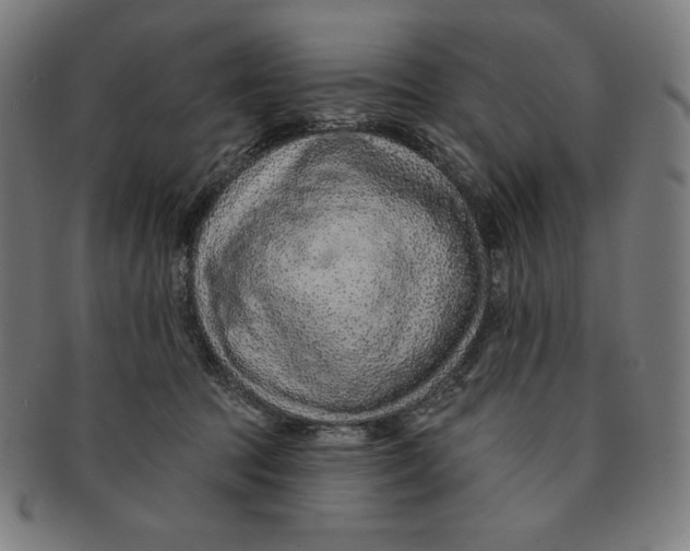 X0000090950369200708301145
