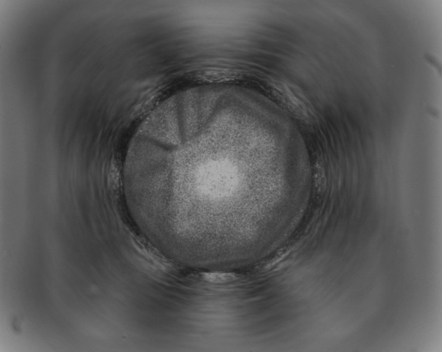 X0000090950371200708301145