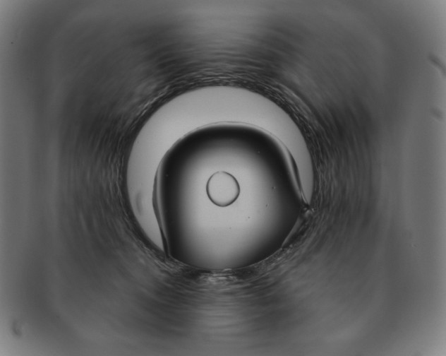 X0000090950372200708301145