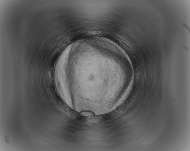 X0000090950373200708301145