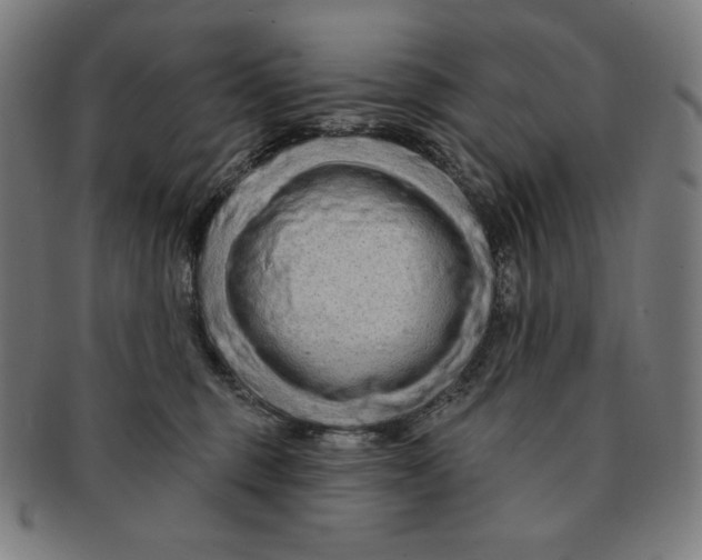 X0000090950375200708301145