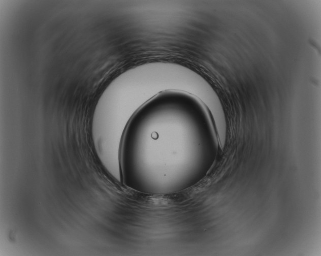 X0000090950376200708301145