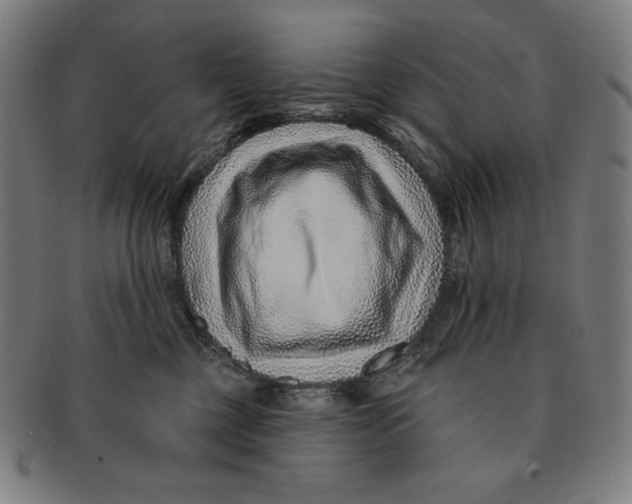 X0000090950377200708301145