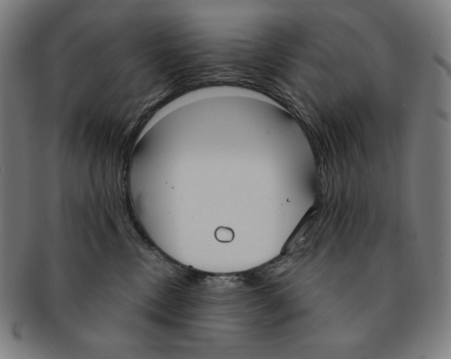 X0000090950378200708301145