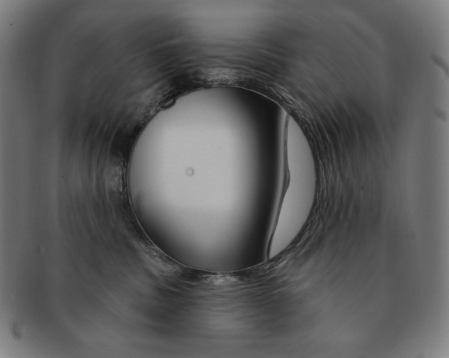 X0000090950379200708301145