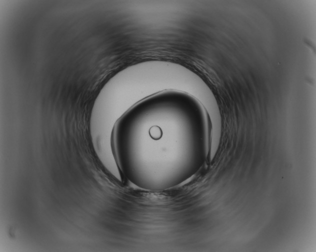 X0000090950380200708301145