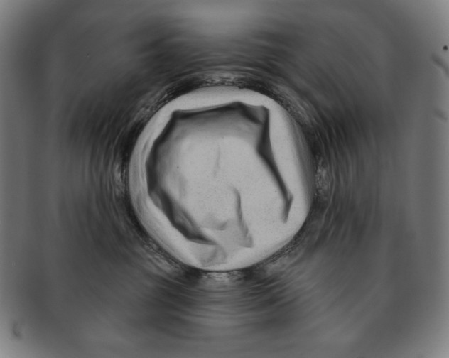 X0000090950381200708301145