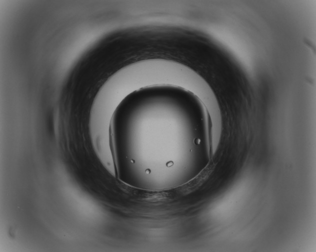 X0000090950382200708301145