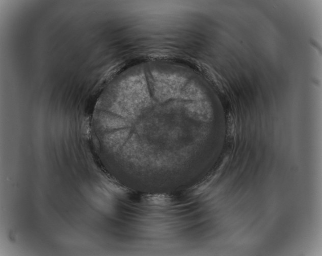 X0000090950383200708301145