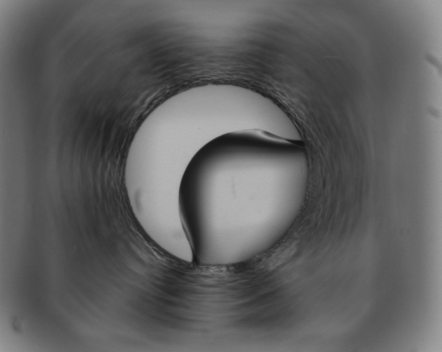 X0000090950384200708301145