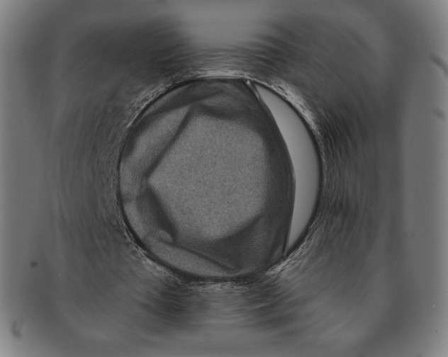 X0000090950385200708301145