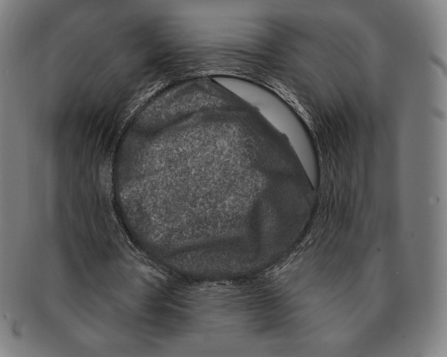 X0000090950386200708301145