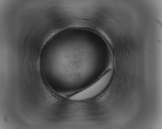 X0000090950387200708301145