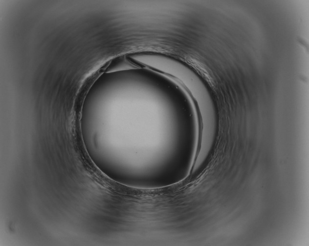 X0000090950388200708301145