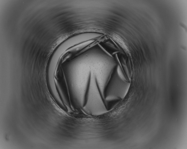 X0000090950389200708301145