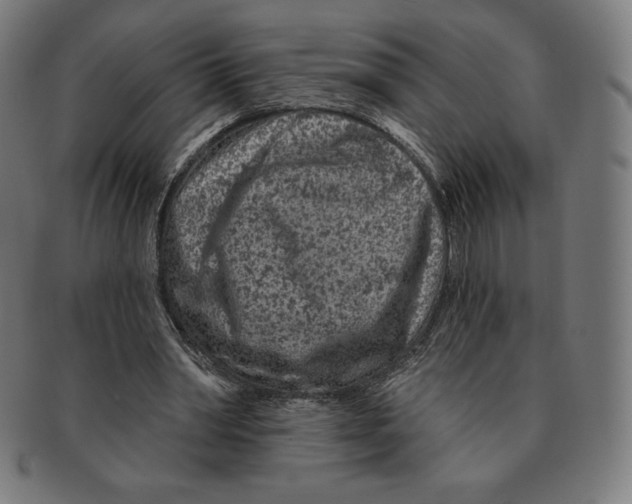 X0000090950390200708301145