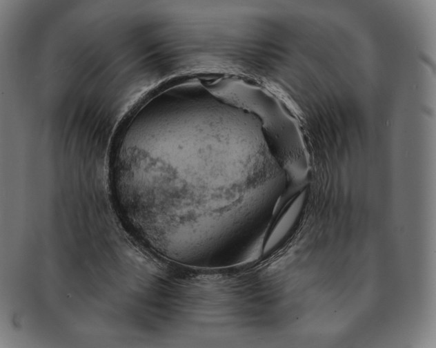 X0000090950391200708301145