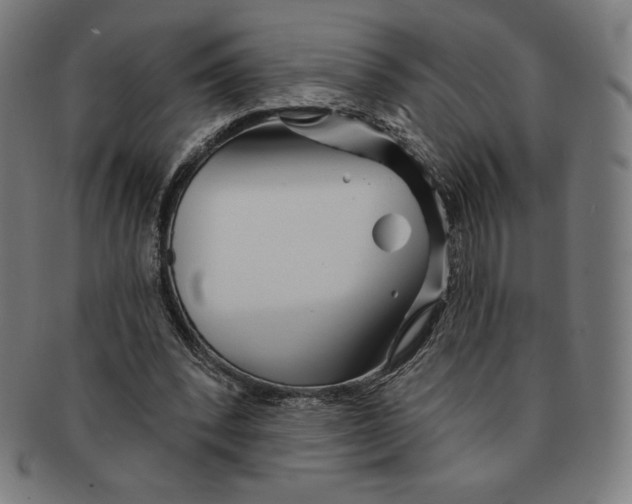 X0000090950392200708301145